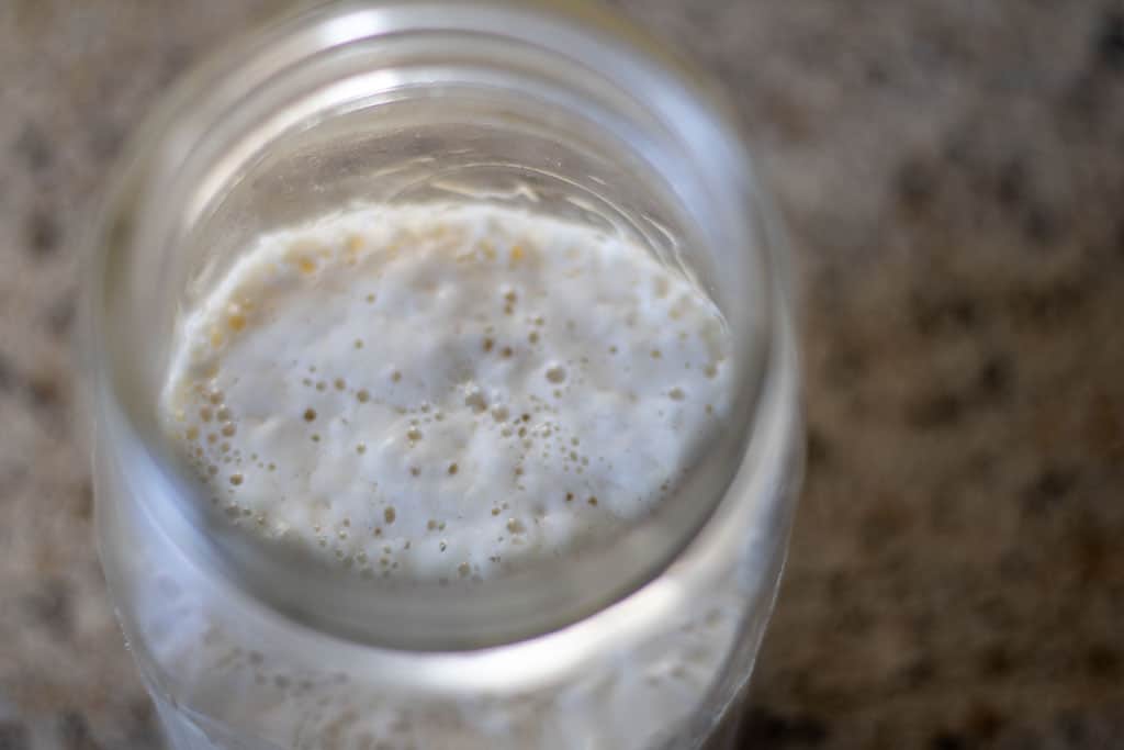 A mason jar filled with active bubbly sourdough starter.