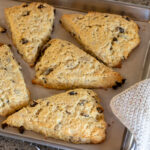 Golden brown sourdough discard scones with raisins cooling on a parchment-lined baking sheet