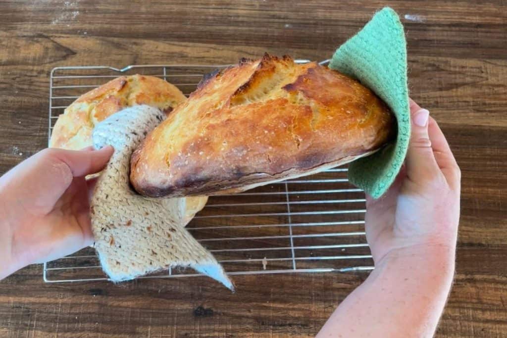 An unshaped loaf of no knead sourdough bread.