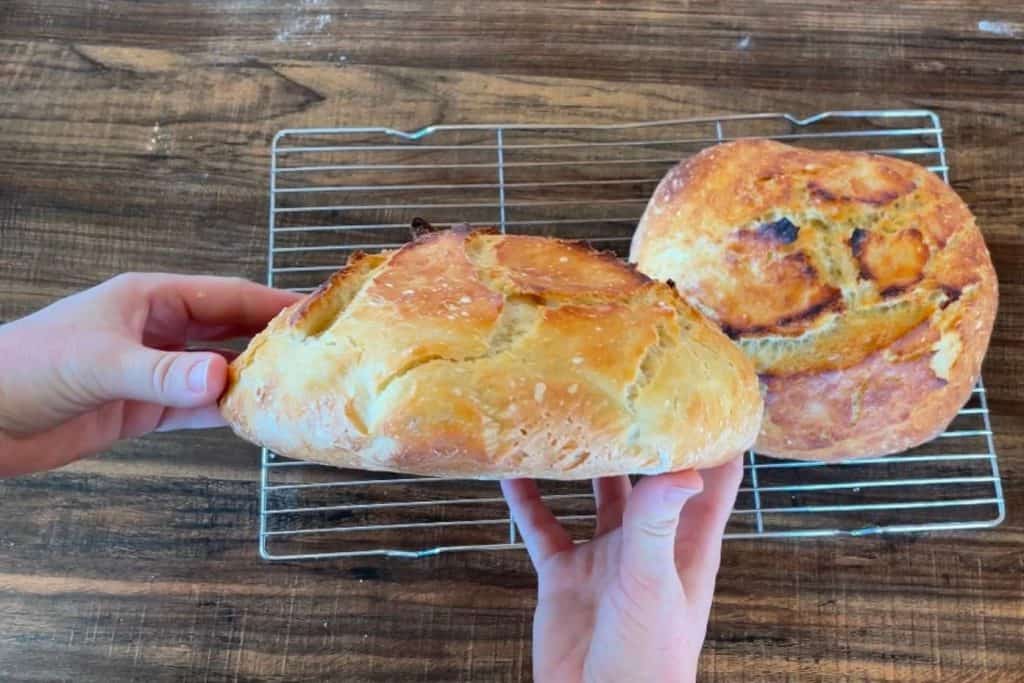 A roughly shaped loaf of no knead sourdough bread.