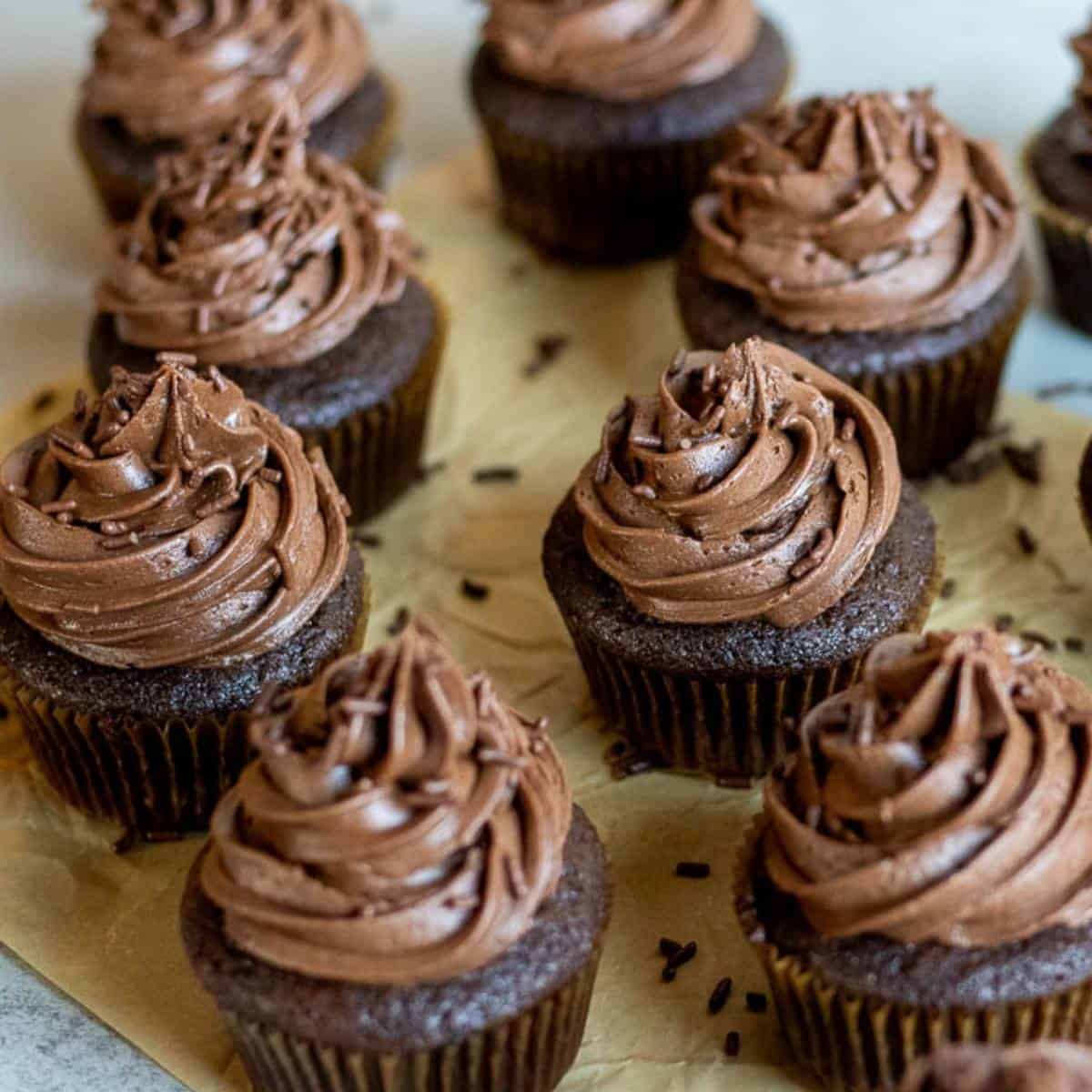 A batch of sourdough chocolate cupcakes topped with chocolate buttercream frosting and chocolate sprinkles.