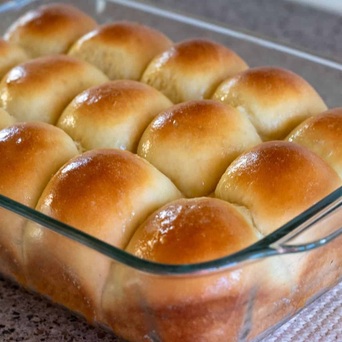 A baking dish full of golden brown sourdough discard rolls.