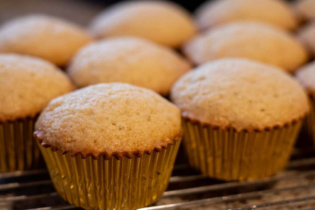 Unfrosted baked and golden sourdough cupcakes in gold cupcake liners on a cooling rack.