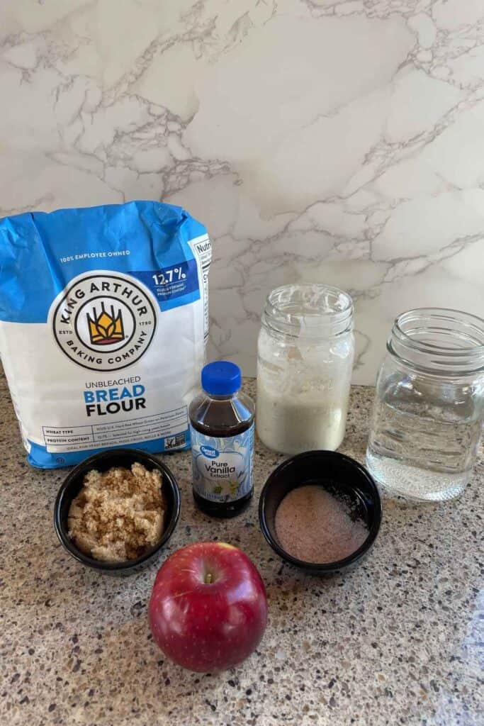 All the ingredients for apple sourdough bread including water, salt, vanilla, sourdough starter, brown sugar, bread flour, and fresh apple.