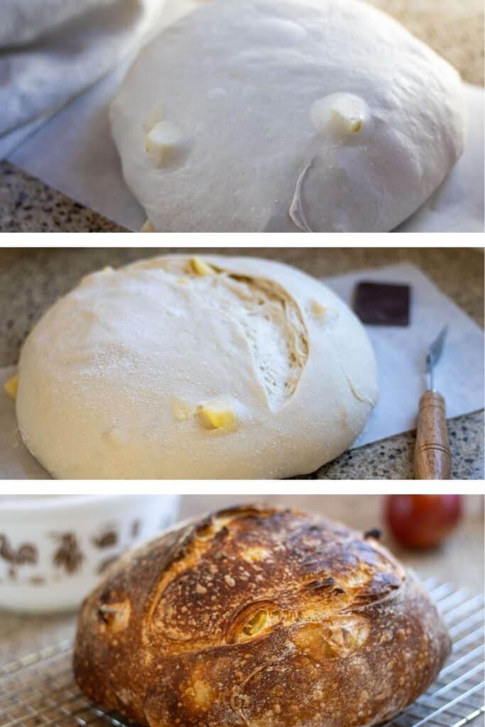 Three process shots of the final shape and rise of a loaf of sourdough apple bread and the finished baked apple sourdough boule.