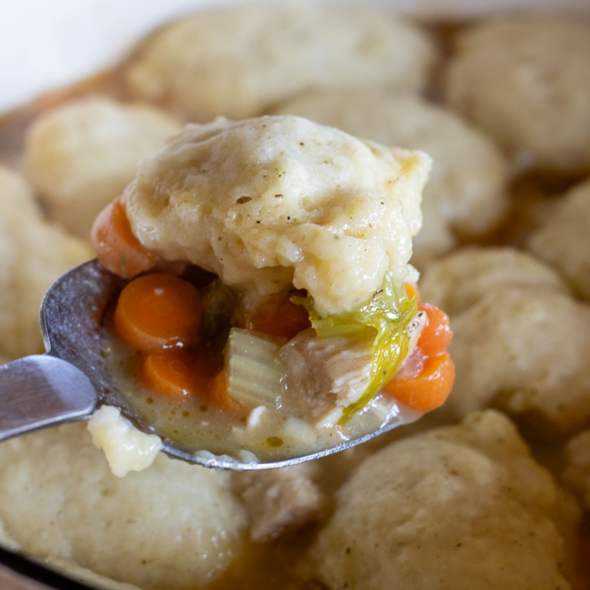 Close-up of a spoonful of fluffy sourdough chicken and dumplings with carrots, celery, and shredded chicken in a rich broth, with more dumplings in the background.