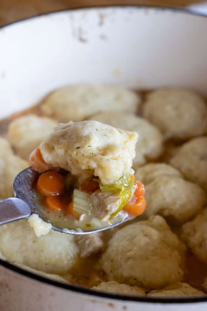 Spoonful of chicken, carrots, celery, and a fluffy sourdough dumpling lifted from a pot of homemade chicken and dumplings.