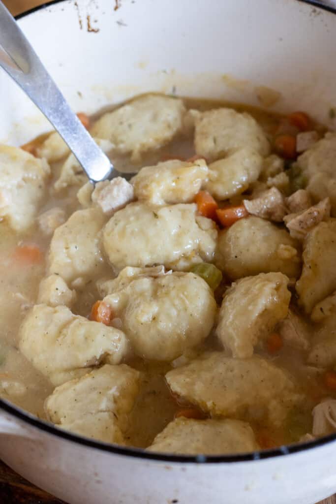 Close-up of a Dutch oven filled with fluffy sourdough chicken and dumplings in a rich broth with carrots and celery and chicken.