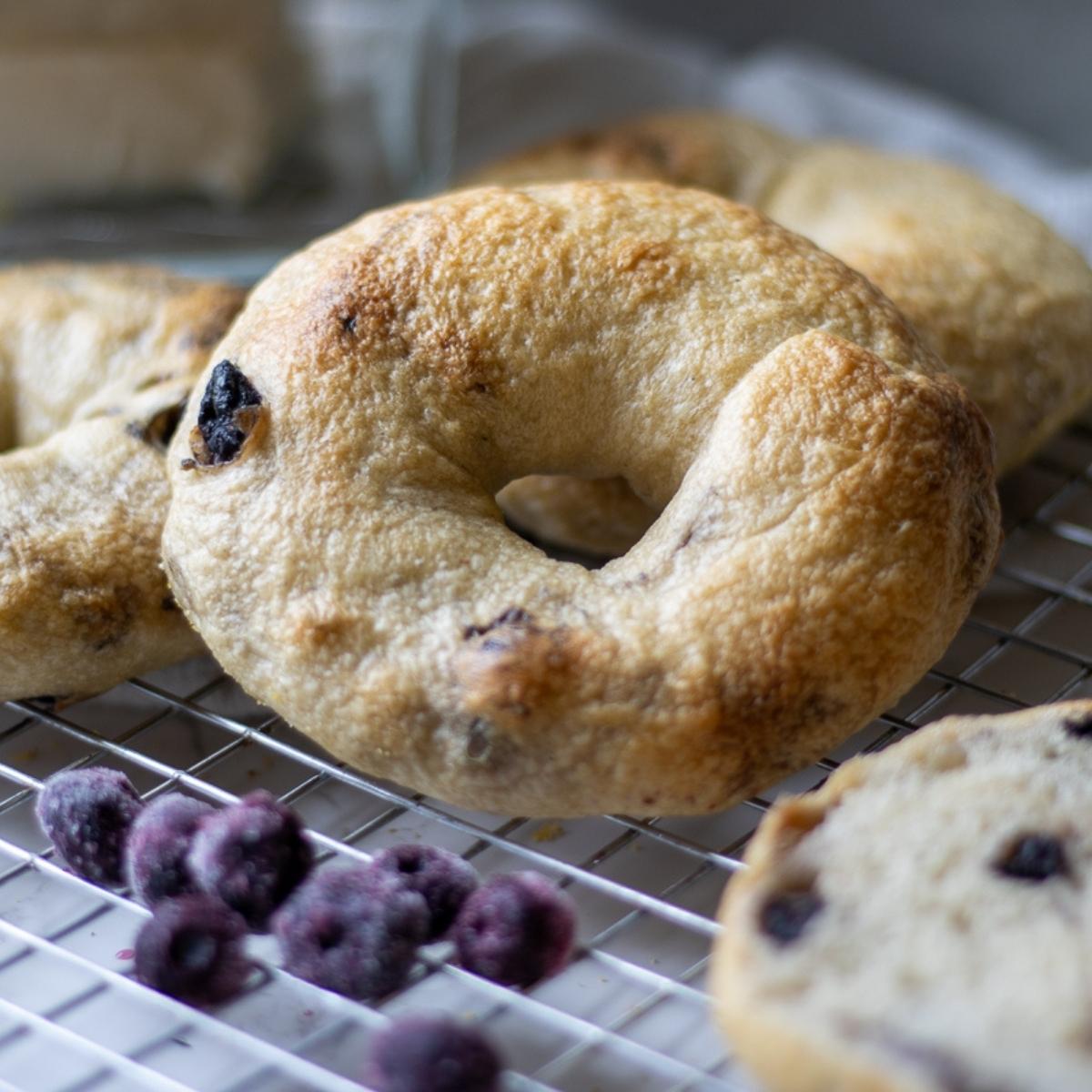 Freshly baked sourdough blueberry bagels cooling on wire rack.